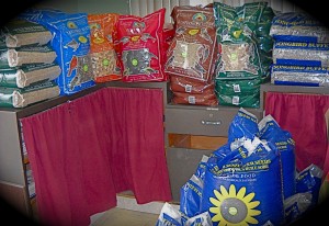 Jamieson's Bird Seed