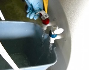 DSCN0036 DSCN0036